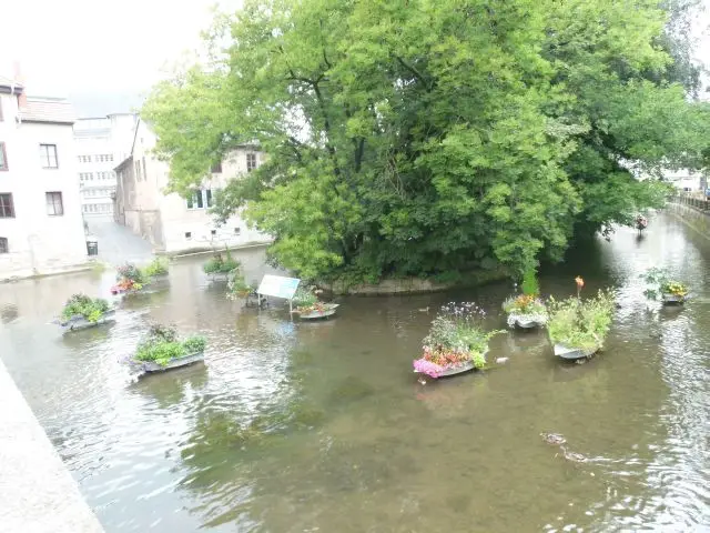 Friedrichroda, 2012 – Foto 16 von 65