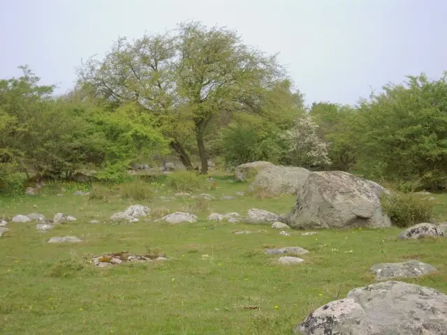 Ahus / Schweden, 2009 – Foto 24 von 108