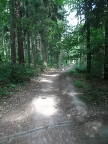 Friedrichroda, 2014 – Foto 26 von 73
