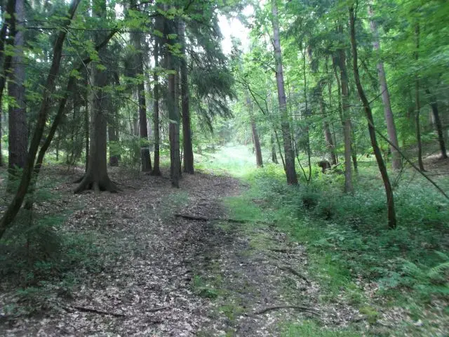 Friedrichroda, 2014 – Foto 27 von 73