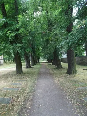 Friedrichroda, 2014 – Foto 71 von 73