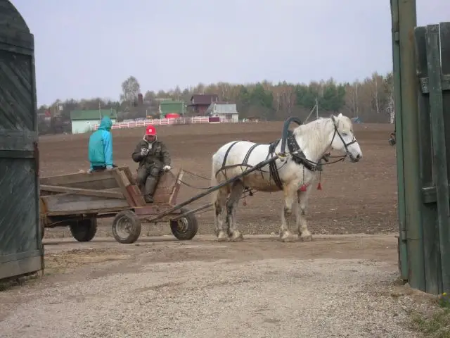 Besuch in Grodno, 2012 – Foto 170 von 208